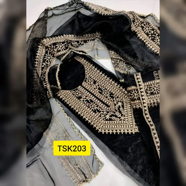 Embroidered Tissue Salwar Kameez Suit TSK203