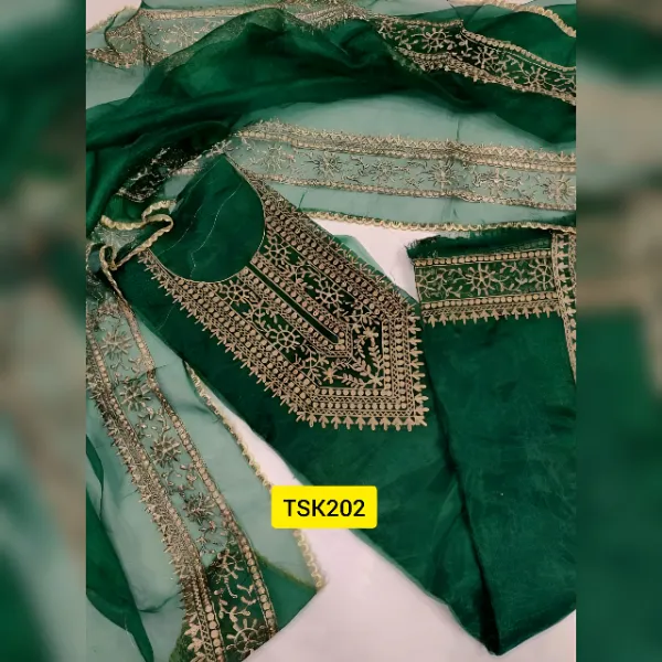 Embroidered Tissue Salwar Kameez Suit TSK202